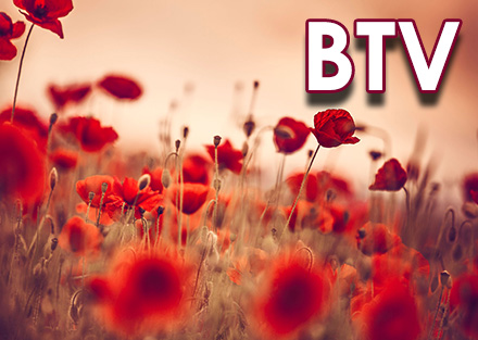 BTV Trauerredner